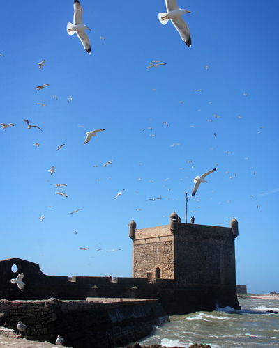 Private 12 Days tour from Marrakech To Essaouira and Desert