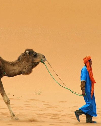 Private 8 Days trip from Marrakech to Desert via Merzouga
