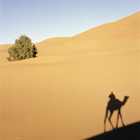Private 10 Days tour from Tangier to Marrakech via Merzouga