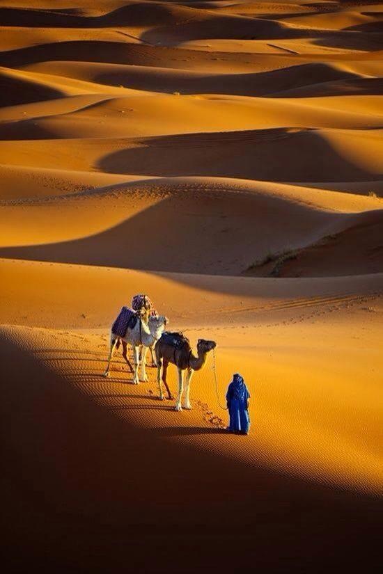 12 Days tour from Tangier to Marrakech via Erg Chebbi